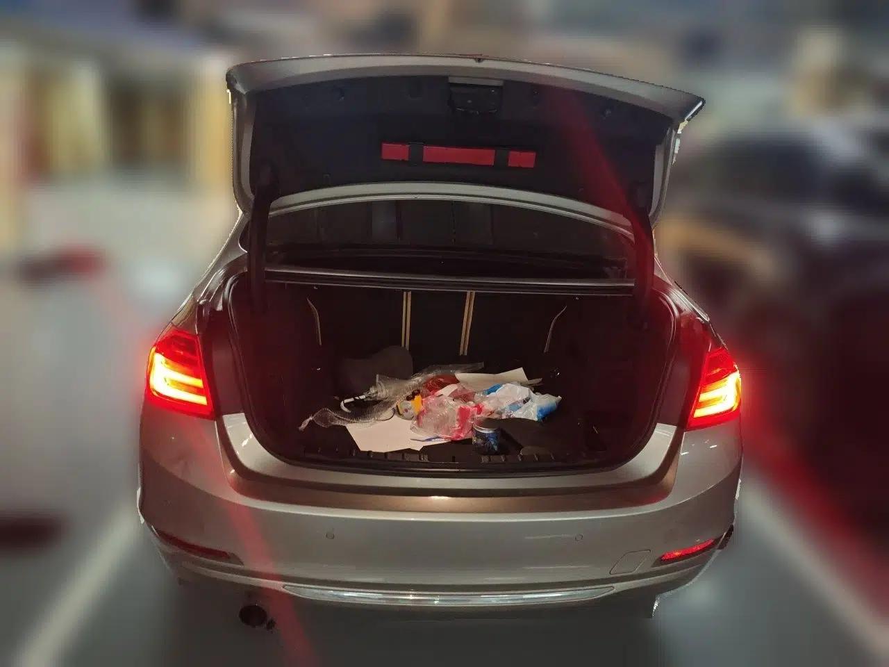 BMW 3 Series 2013 320Li Luxury Design Package — миниатюра 19