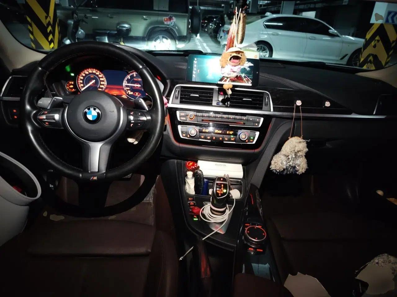 BMW 3 Series 2018 320Li M Sport Night Edition — миниатюра 9
