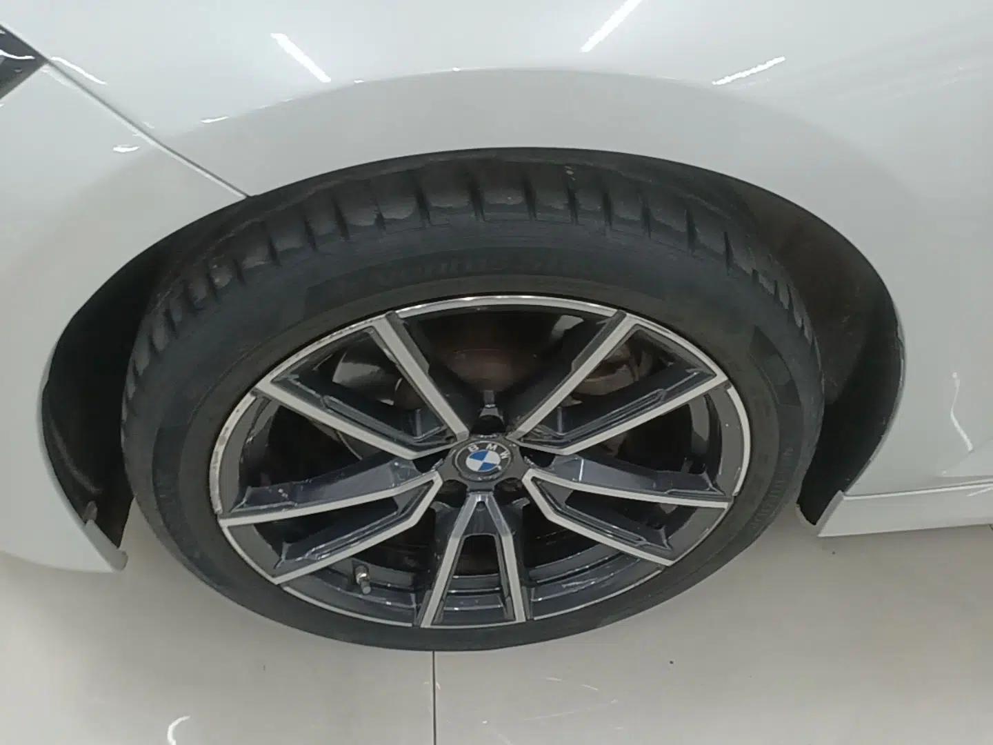 BMW 3 Series 2022 325Li M Sport Package — миниатюра 10
