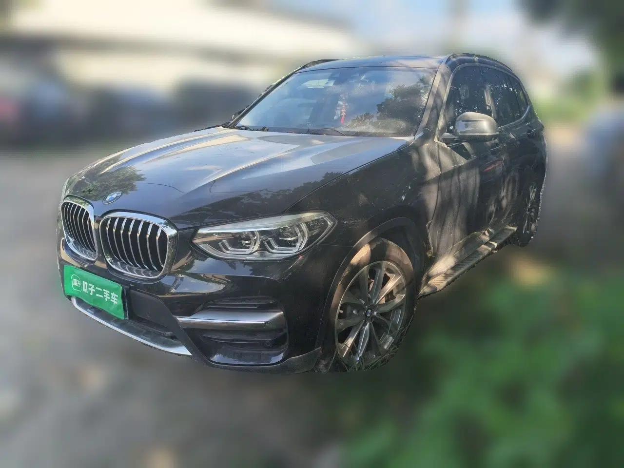 BMW X3 2021 xDrive25i Luxury Package — миниатюра 1
