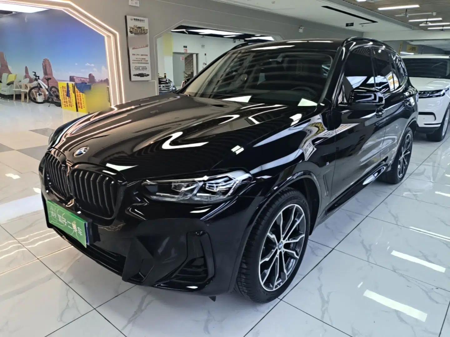 BMW X3 2023 Restyled xDrive30i Leading Edition M Night Sky Package — миниатюра 1