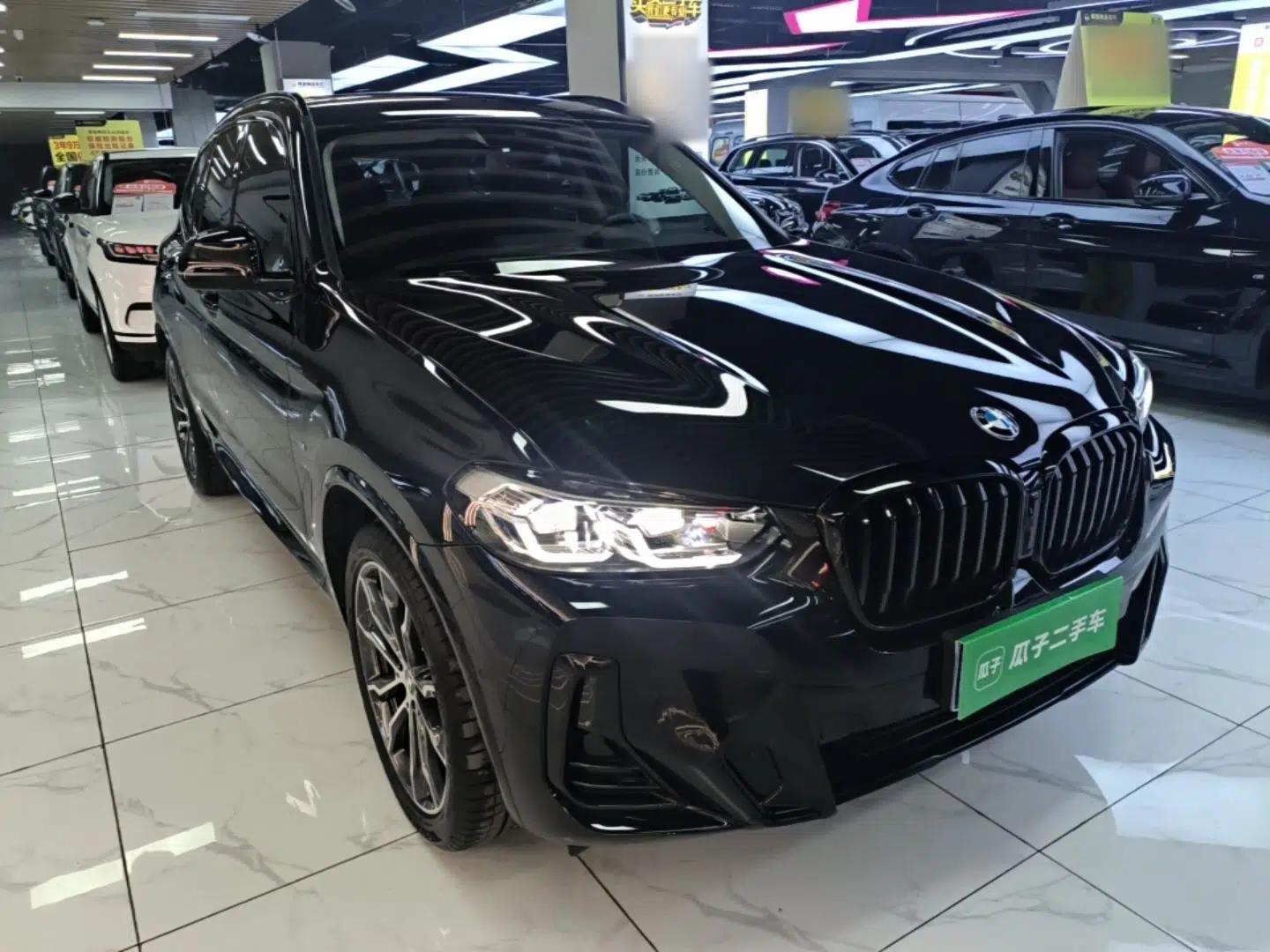 BMW X3 2023 Restyled xDrive30i Leading Edition M Night Sky Package — миниатюра 3
