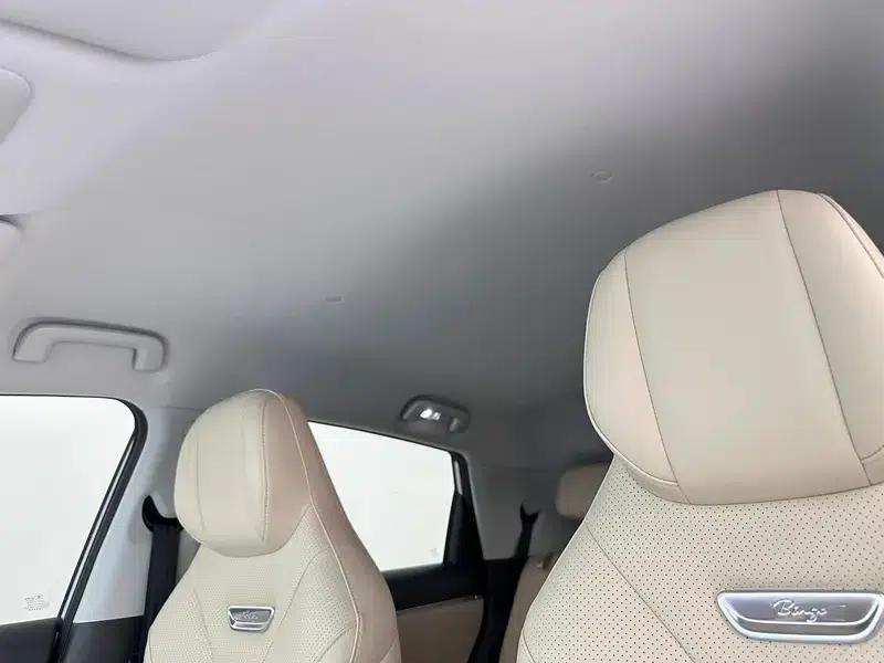 Bingo S 2025 Model 325km Premium Edition — миниатюра 19