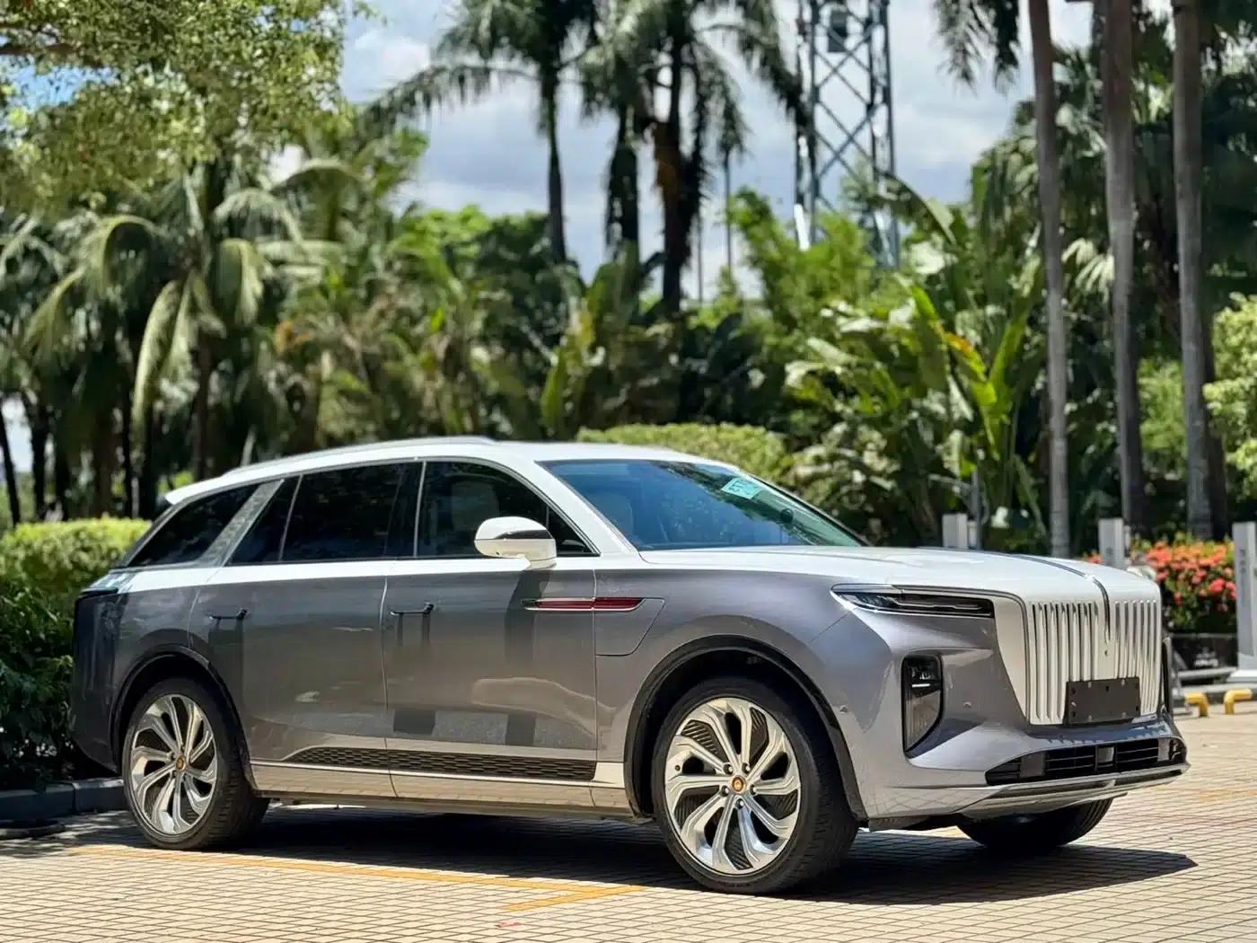 Hongqi E-HS9 2021 Model 510km Flagship Edition (Four Seats) — миниатюра 3