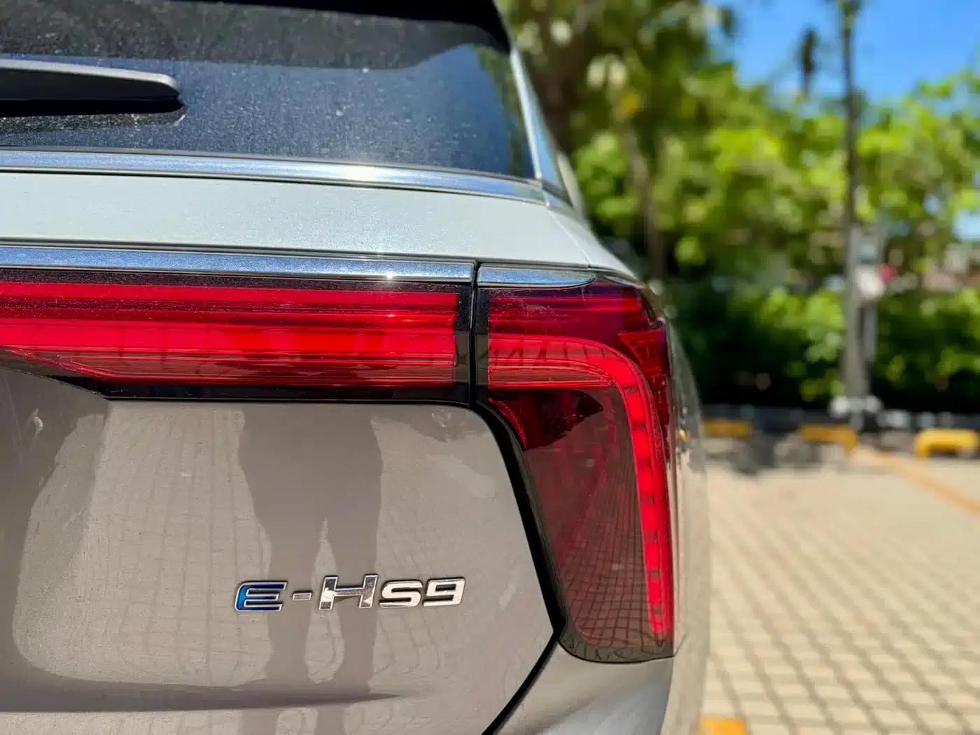 Hongqi E-HS9 2021 Model 510km Flagship Edition (Four Seats) — миниатюра 26