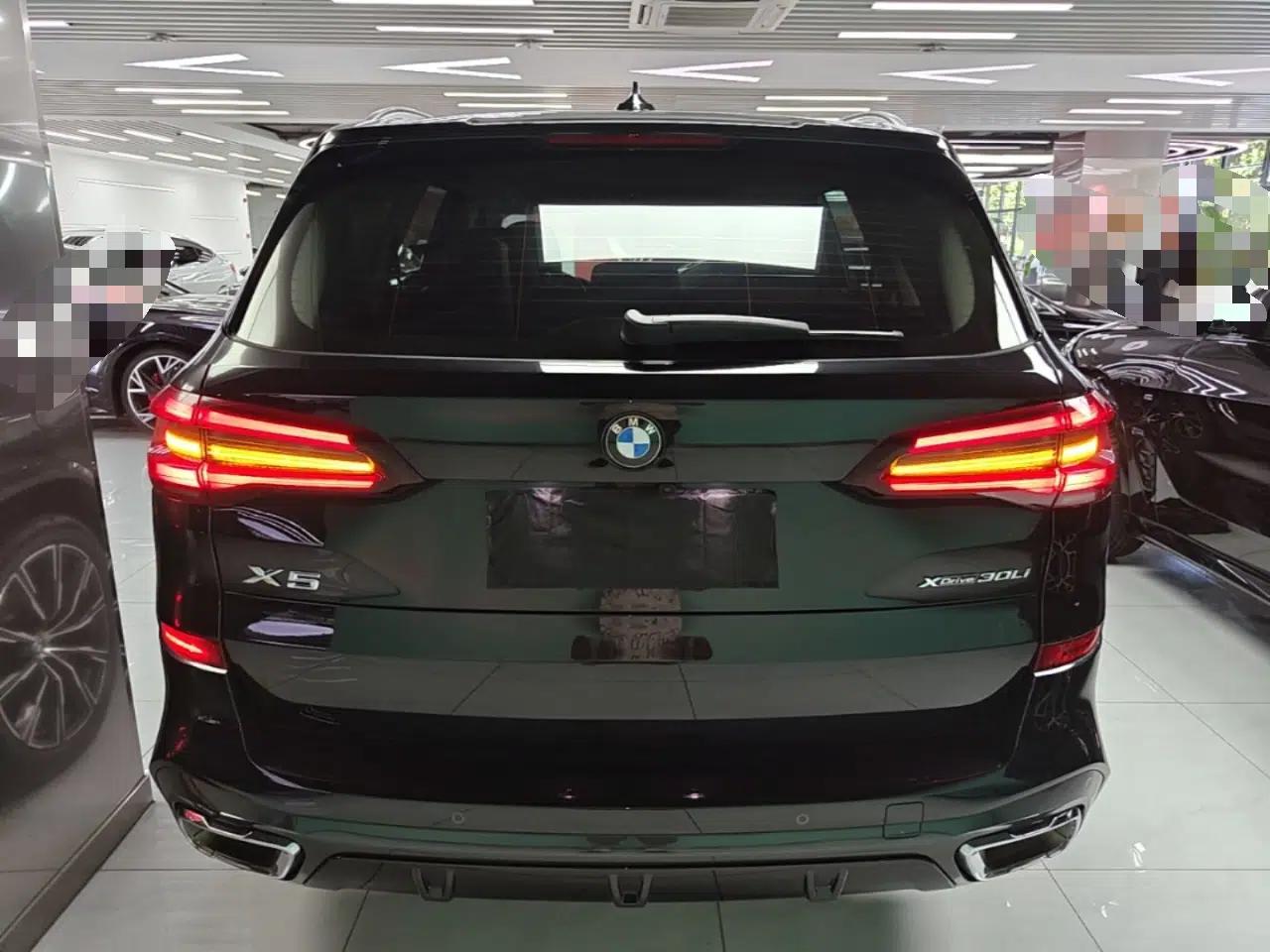 BMW X5 2022 Restyled xDrive 30Li Luxury Version M Sport Package — миниатюра 5