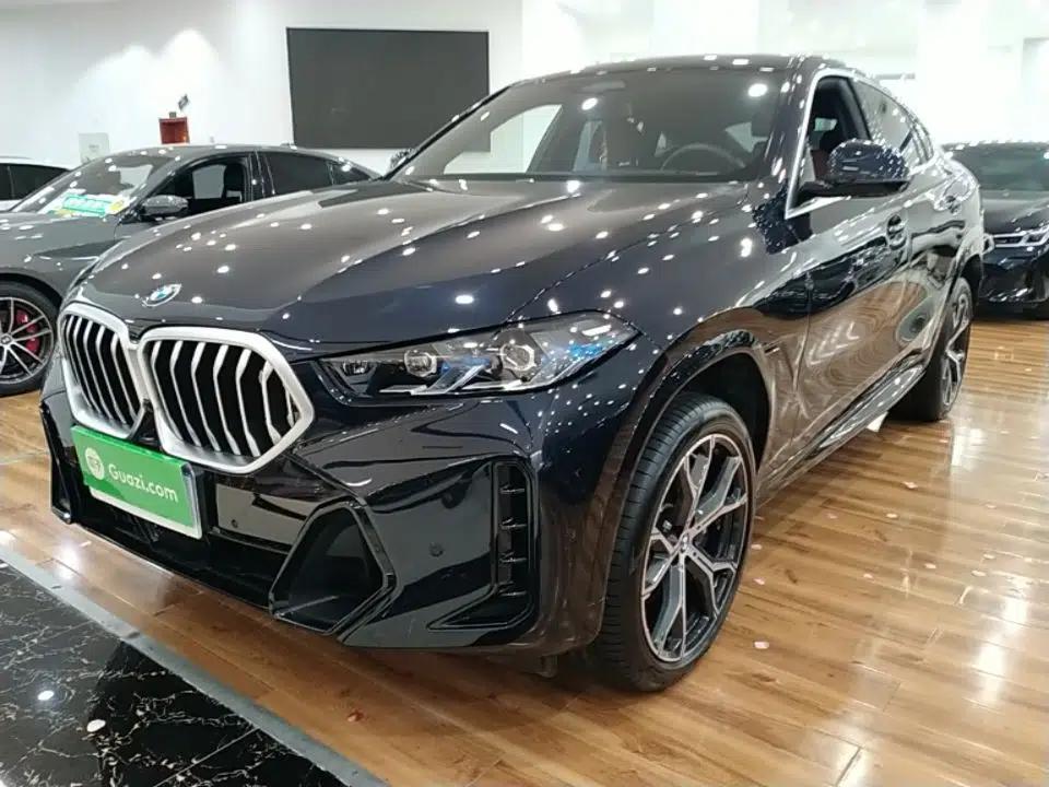BMW X6 2023 xDrive40i Luxury Model with M Sport Package — миниатюра 1