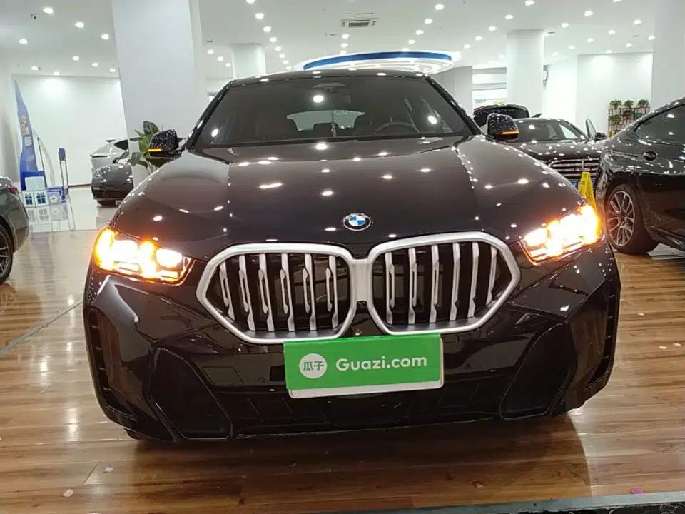 BMW X6 2023 xDrive40i Luxury Model with M Sport Package — миниатюра 2