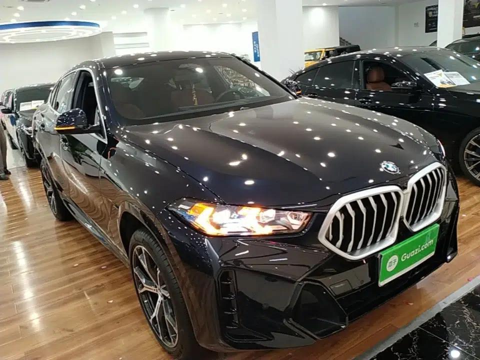 BMW X6 2023 xDrive40i Luxury Model with M Sport Package — миниатюра 3
