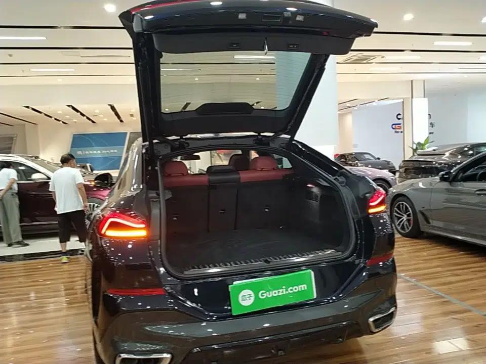 BMW X6 2023 xDrive40i Luxury Model with M Sport Package — миниатюра 22
