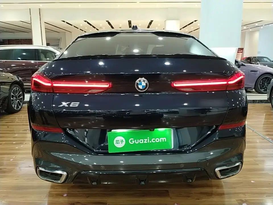 BMW X6 2023 xDrive40i Luxury Model with M Sport Package — миниатюра 5