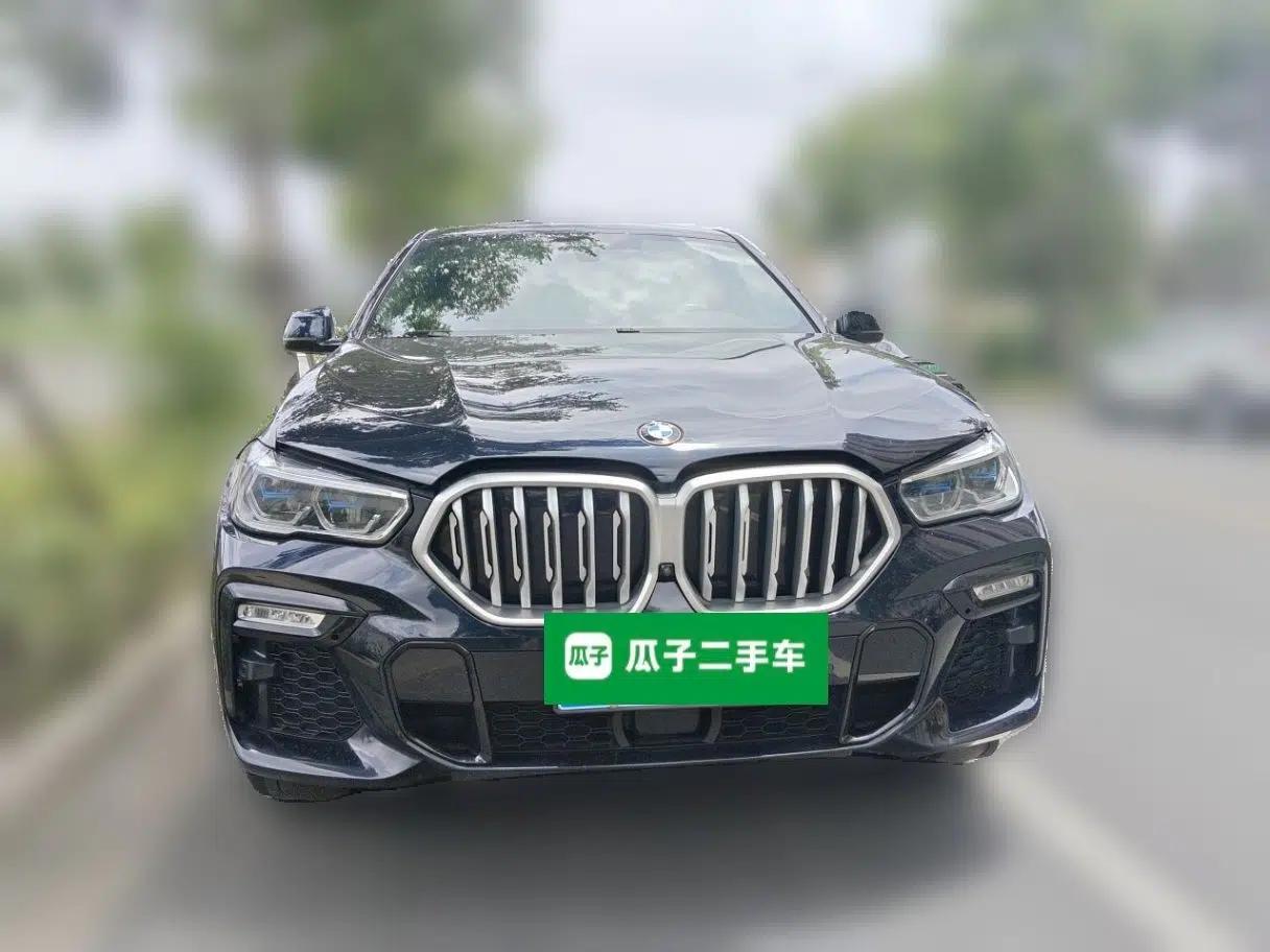 BMW X6 2020 xDrive40i Luxury Model with M Sport Package — миниатюра 2