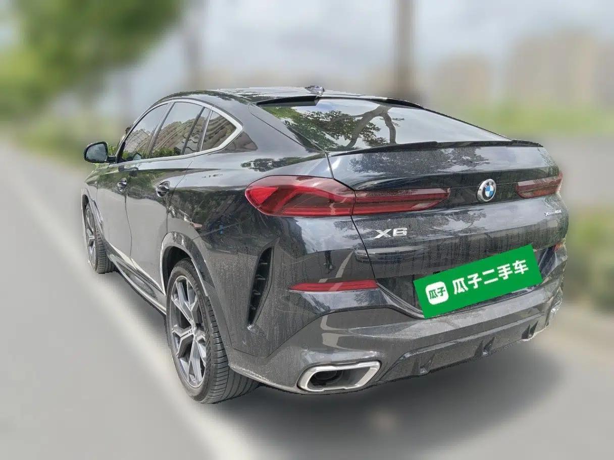 BMW X6 2020 xDrive40i Luxury Model with M Sport Package — миниатюра 4