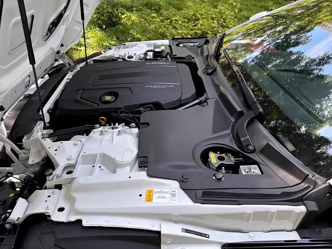 Jaguar F-TYPE 2024 P300 75th Anniversary Edition Hardtop — миниатюра 15