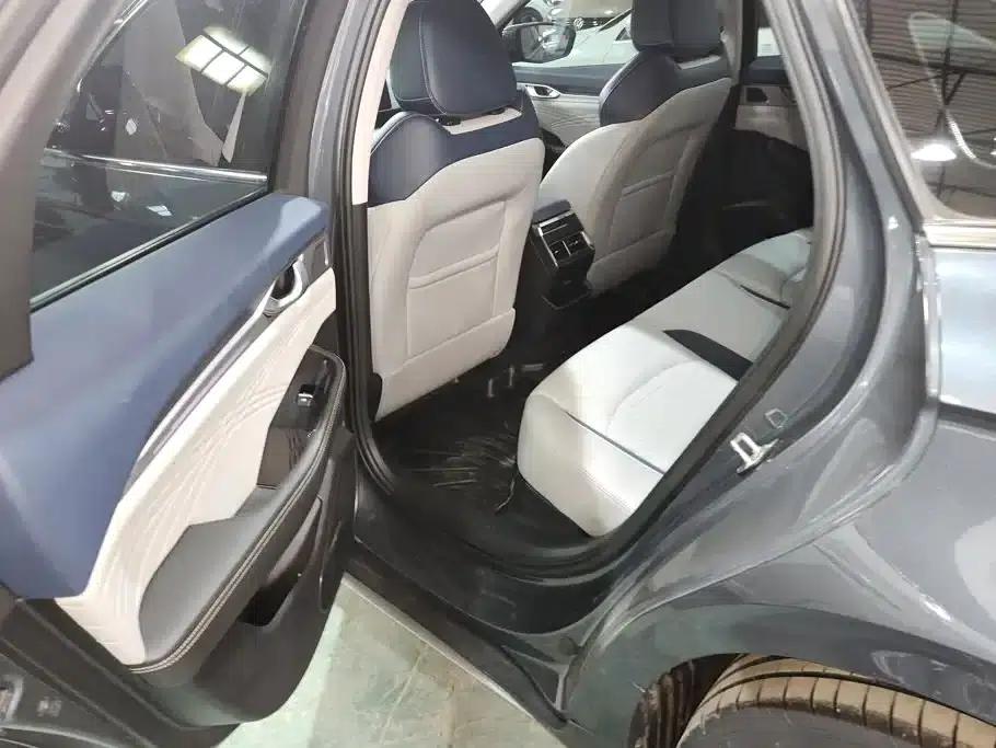 Xingrui 2021 Facelift 2.0TD Premium Edition — миниатюра 11