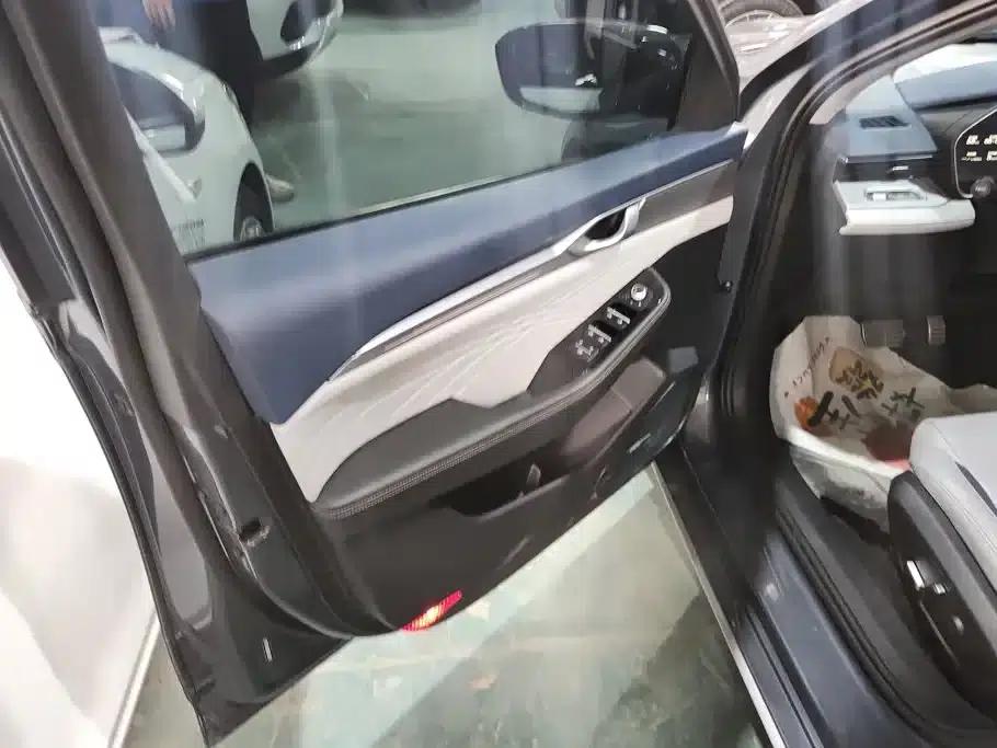 Xingrui 2021 Facelift 2.0TD Premium Edition — миниатюра 7
