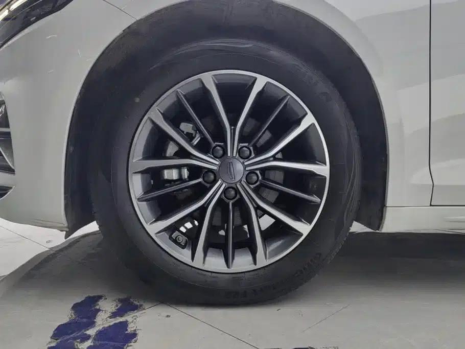 Xingrui 2023 1.5TD Fuyao Edition — миниатюра 6