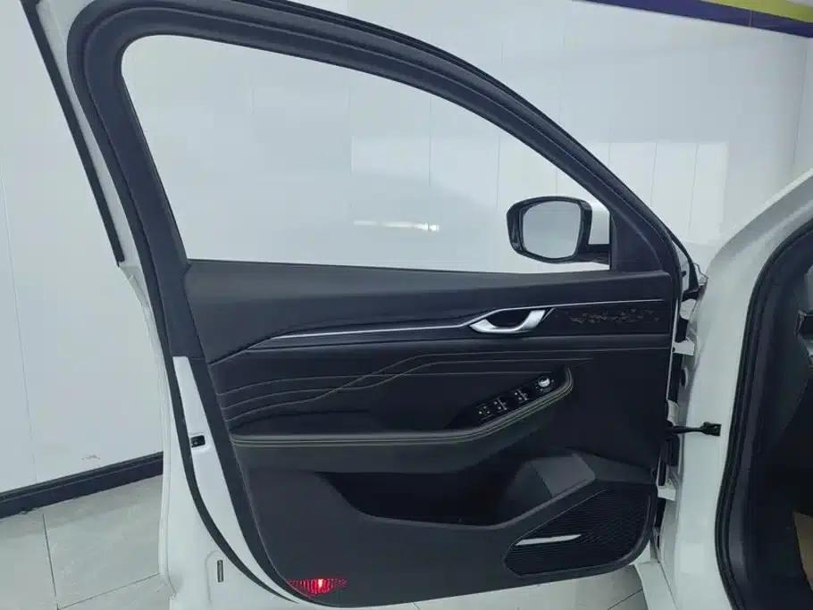 Xingrui 2023 1.5TD Fuyao Edition — миниатюра 7