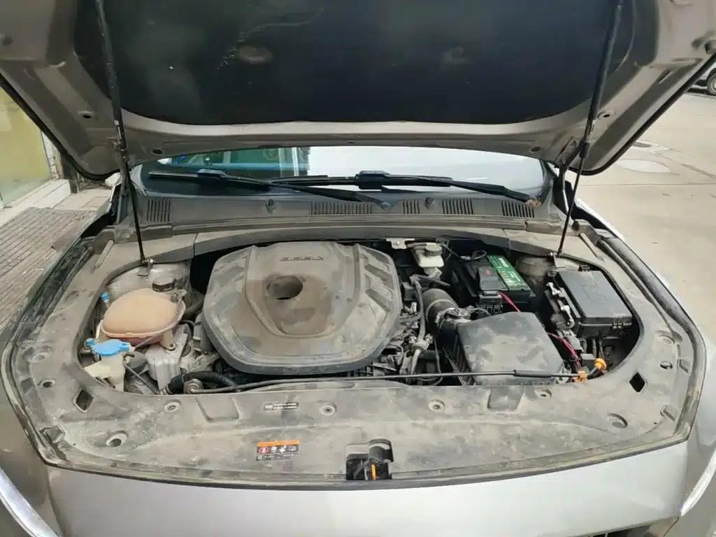 Xingrui 2021 Facelift 2.0TD Premium Edition — миниатюра 20