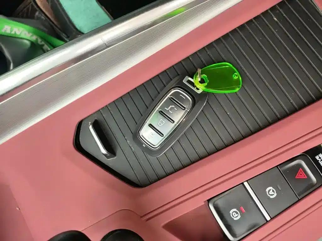 Xingrui 2021 Facelift 2.0TD Premium Edition — миниатюра 9