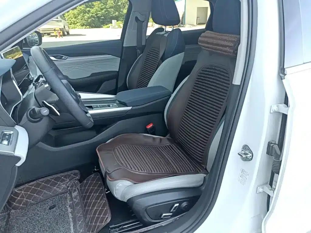 Xingrui 2021 Facelift 2.0TD Premium Edition — миниатюра 15