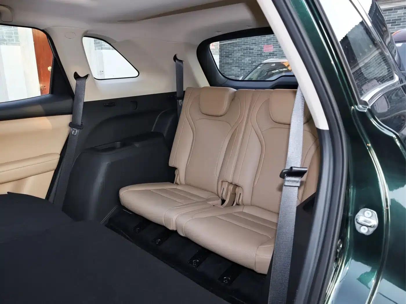 Blue Electric E5 PLUS 2025 Model 120km Standard Touring Custom Edition 7-Seater — миниатюра 14