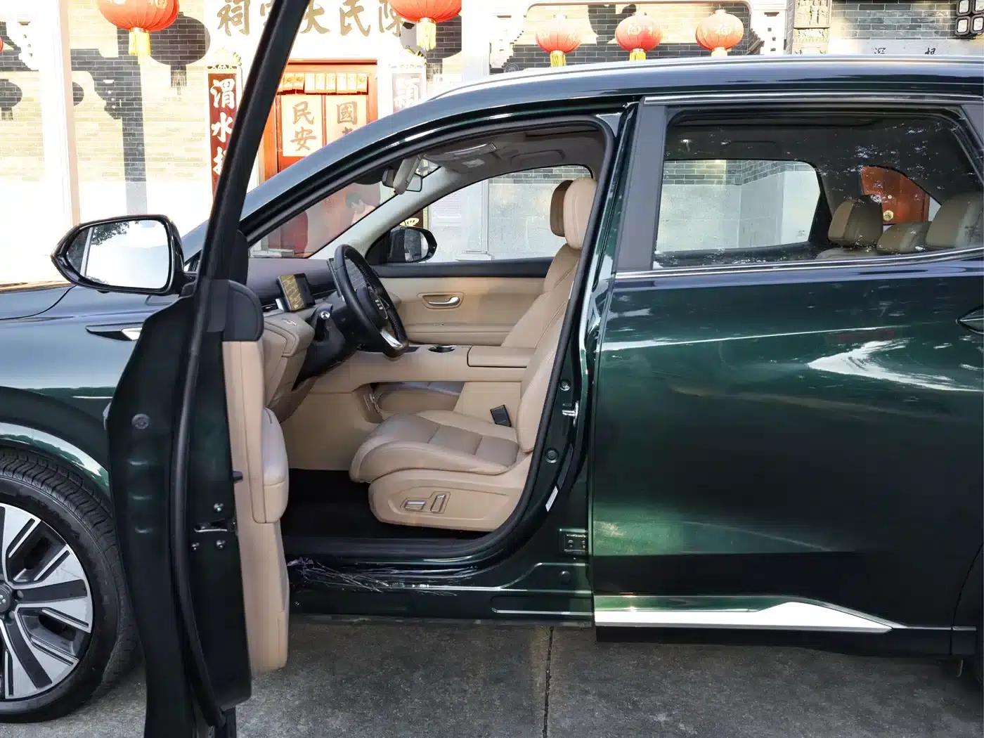 Blue Electric E5 PLUS 2025 Model 120km Standard Touring Custom Edition 7-Seater — миниатюра 16