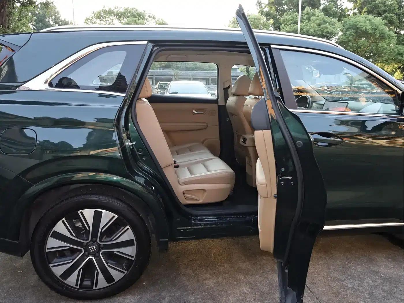 Blue Electric E5 PLUS 2025 Model 120km Standard Touring Custom Edition 7-Seater — миниатюра 18