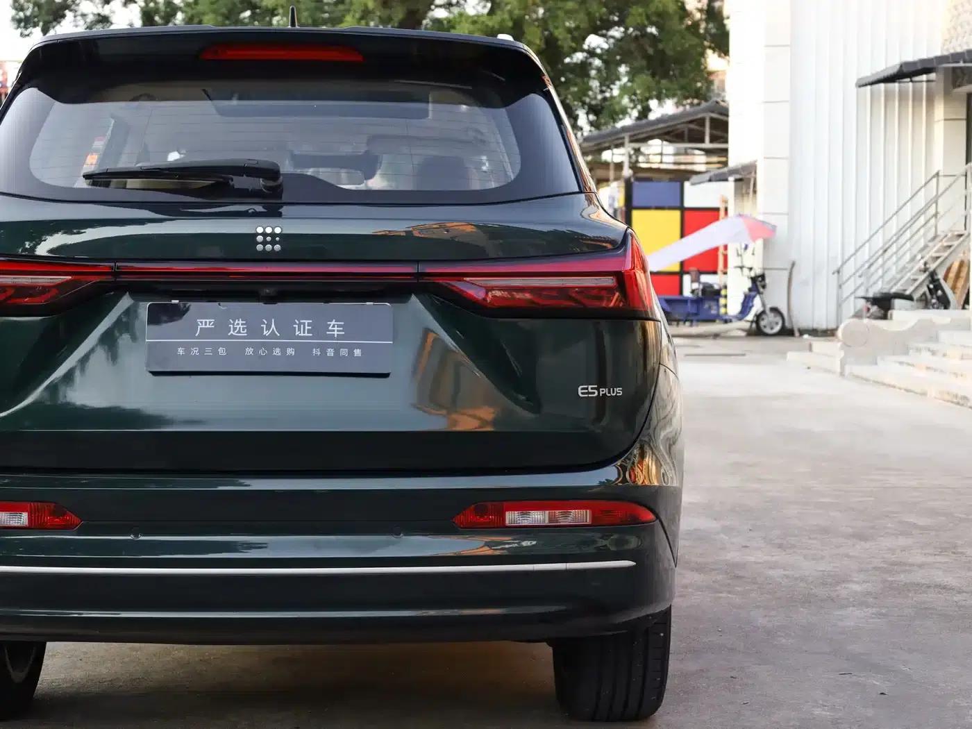 Blue Electric E5 PLUS 2025 Model 120km Standard Touring Custom Edition 7-Seater — миниатюра 24