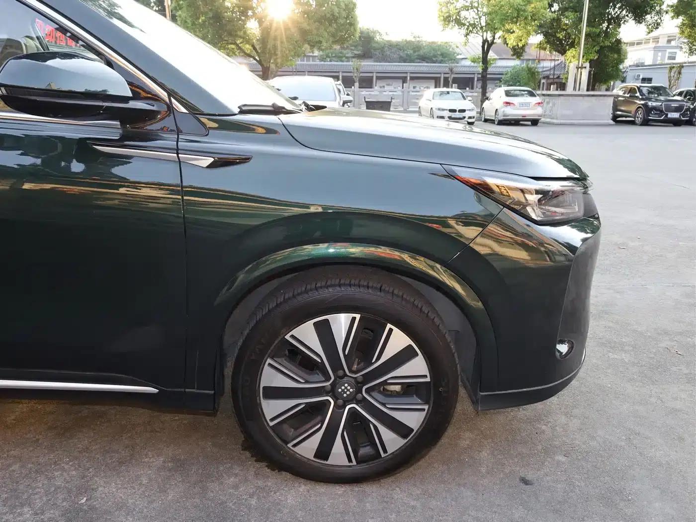 Blue Electric E5 PLUS 2025 Model 120km Standard Touring Custom Edition 7-Seater — миниатюра 30