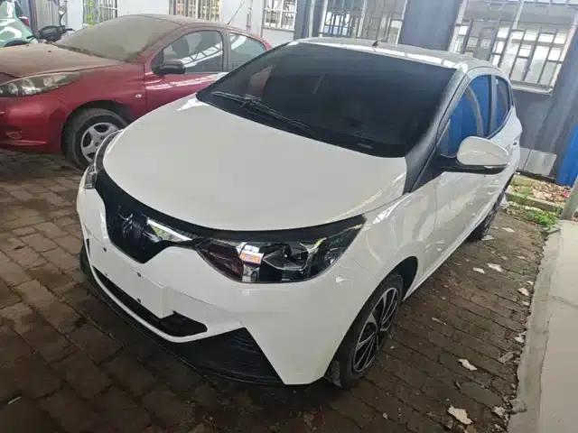 Yizhi EV2 2024 Model 201km Comfort