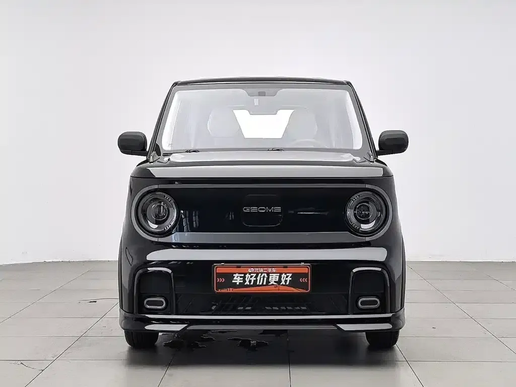 Panda 2025 Model 210km Panda Gokart — миниатюра 3