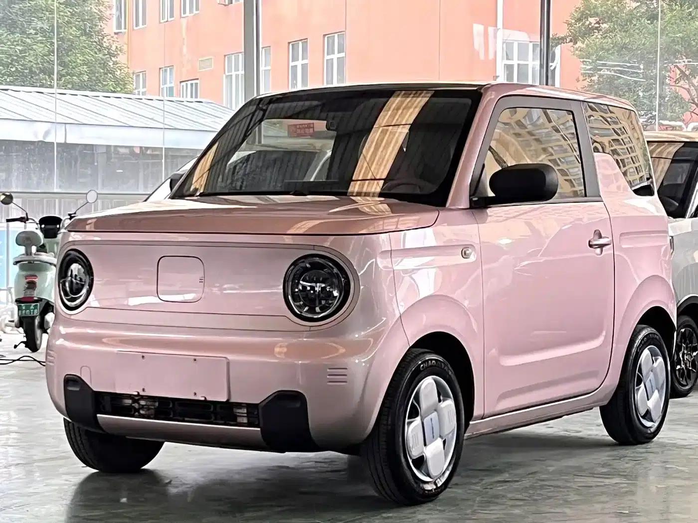 Panda 2023 Panda Mini 200km Endurance Bear — миниатюра 1