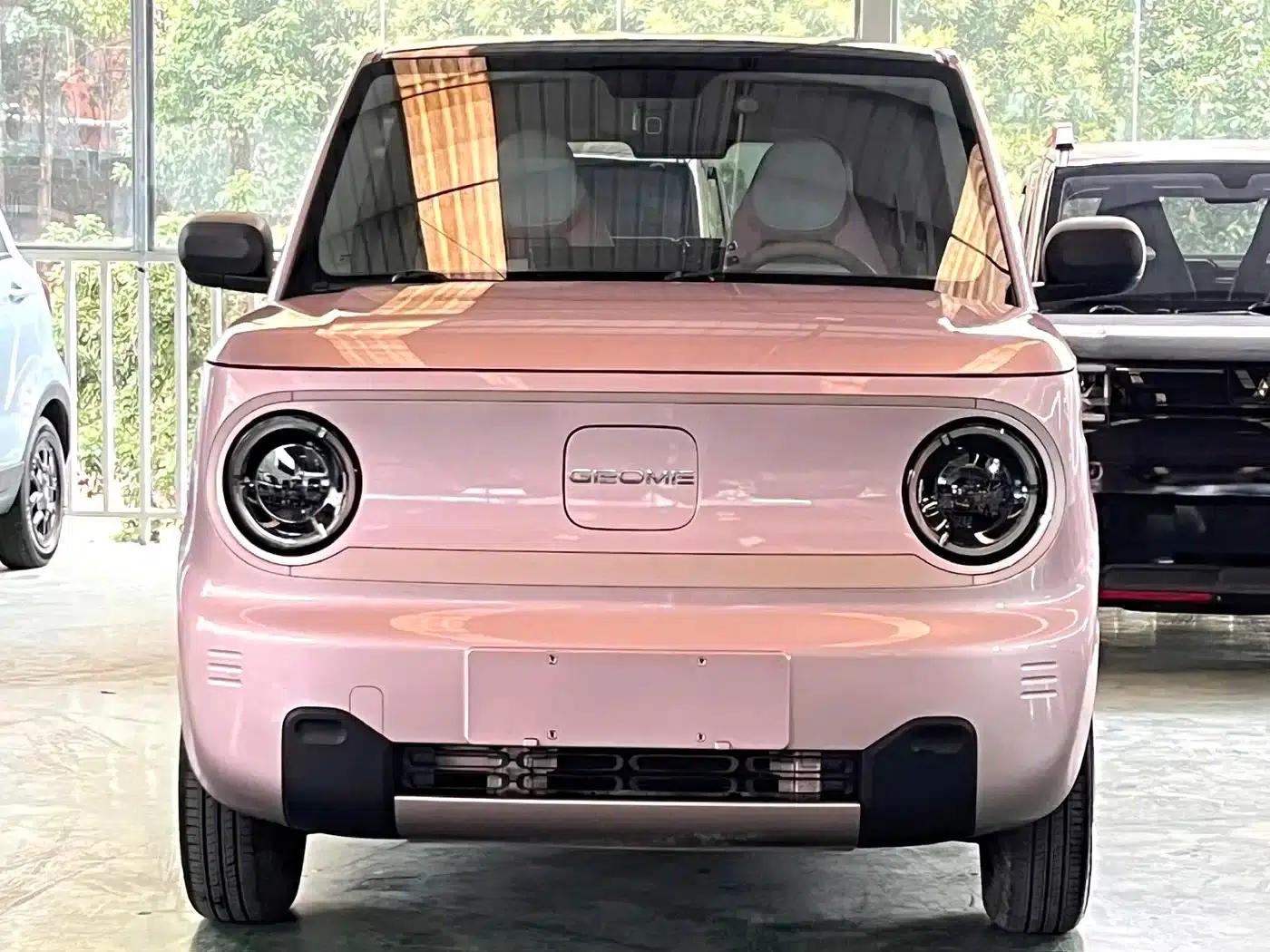 Panda 2023 Panda Mini 200km Endurance Bear — миниатюра 2