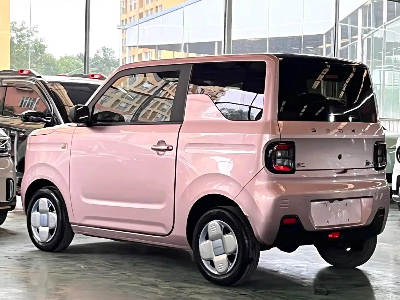 Panda 2023 Panda Mini 200km Endurance Bear — миниатюра 7