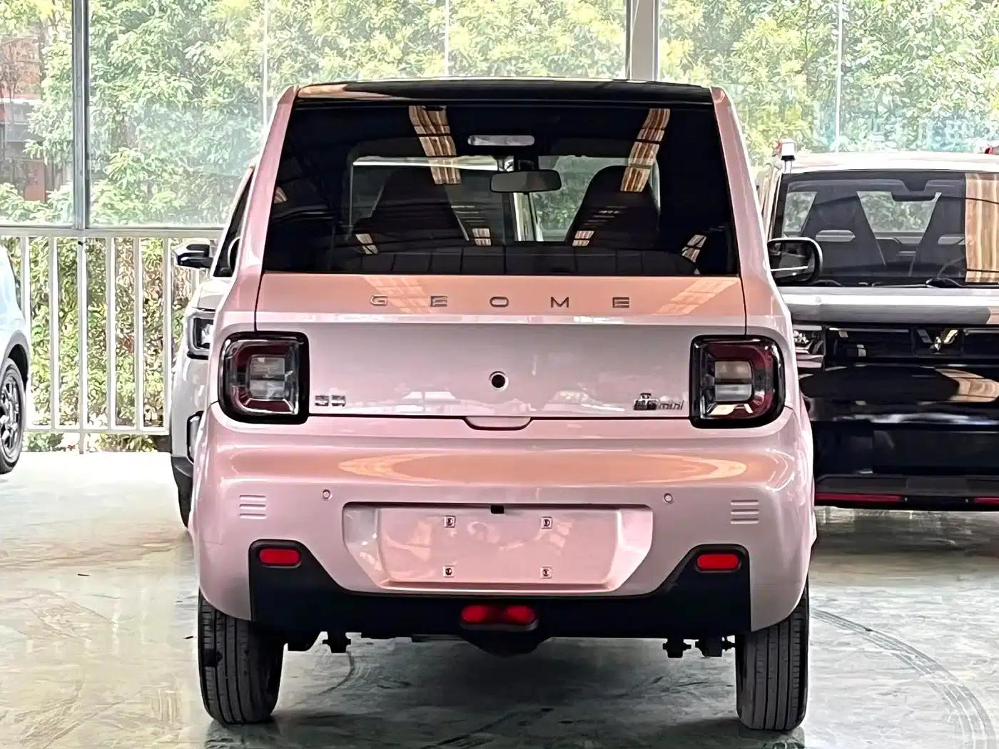 Panda 2023 Panda Mini 200km Endurance Bear — миниатюра 8