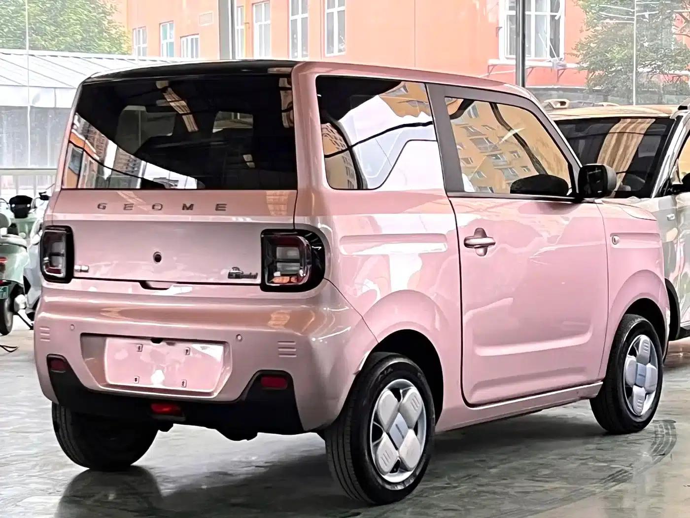 Panda 2023 Panda Mini 200km Endurance Bear — миниатюра 9