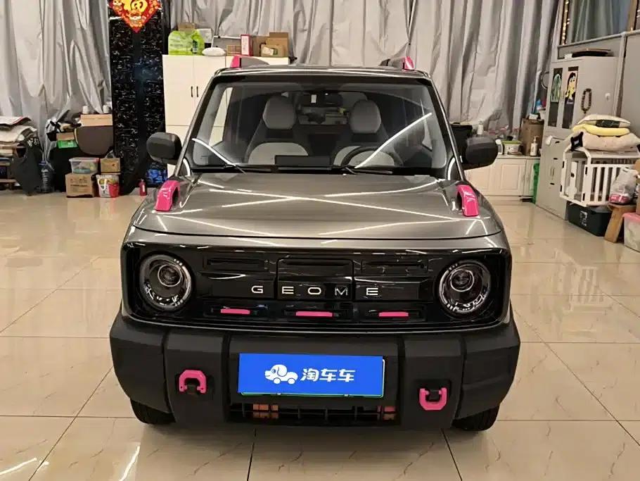 Panda 2025 Model 210km Panda Rider — миниатюра 2