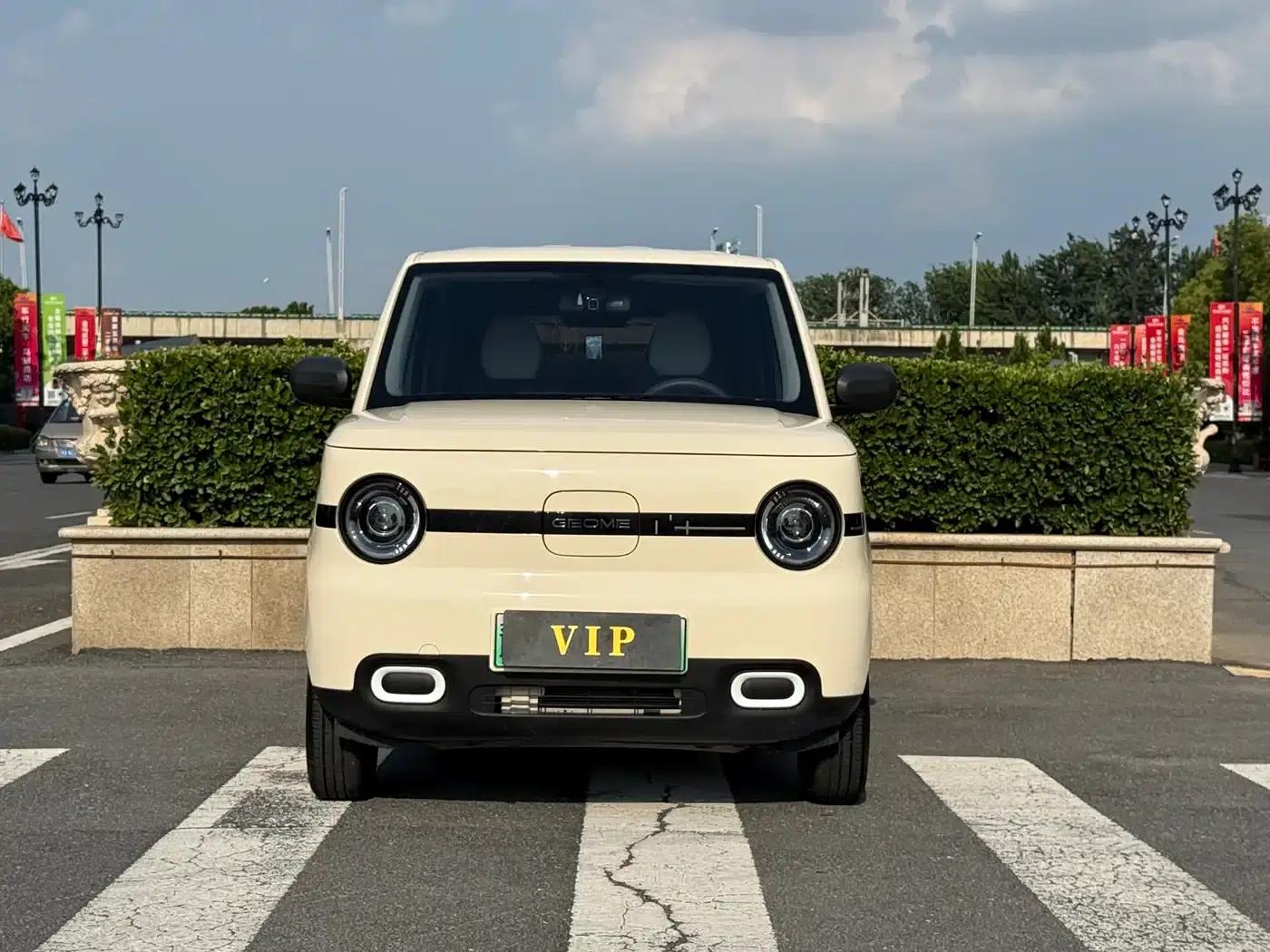Panda 2025 Panda Mini 210km - Energetic Bear — миниатюра 2