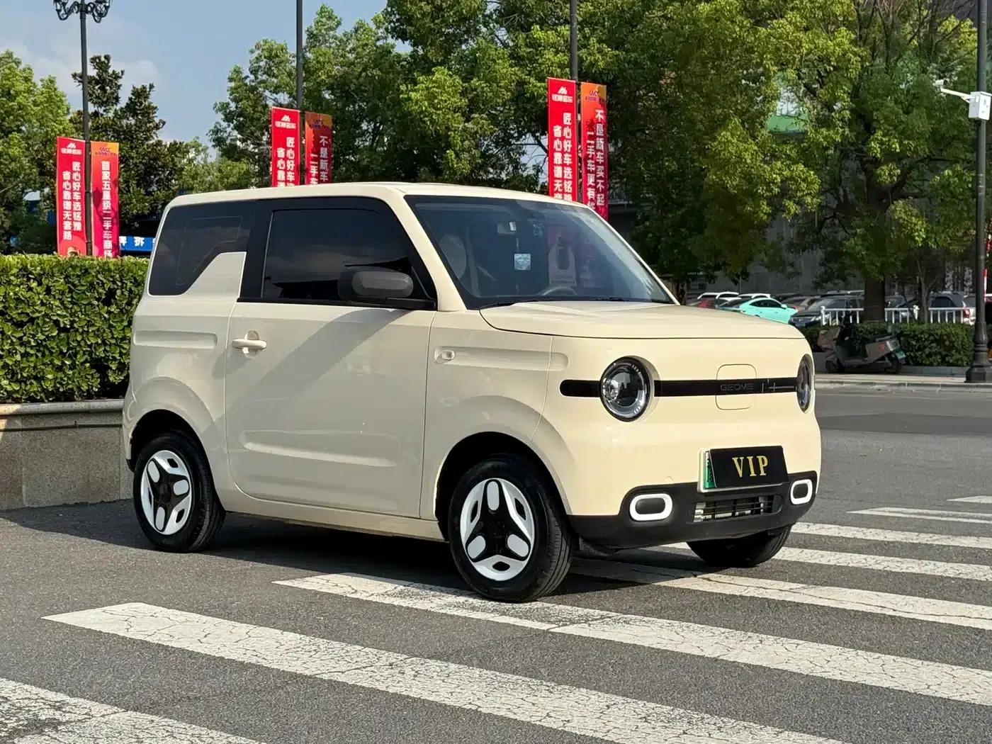 Panda 2025 Panda Mini 210km - Energetic Bear — миниатюра 3