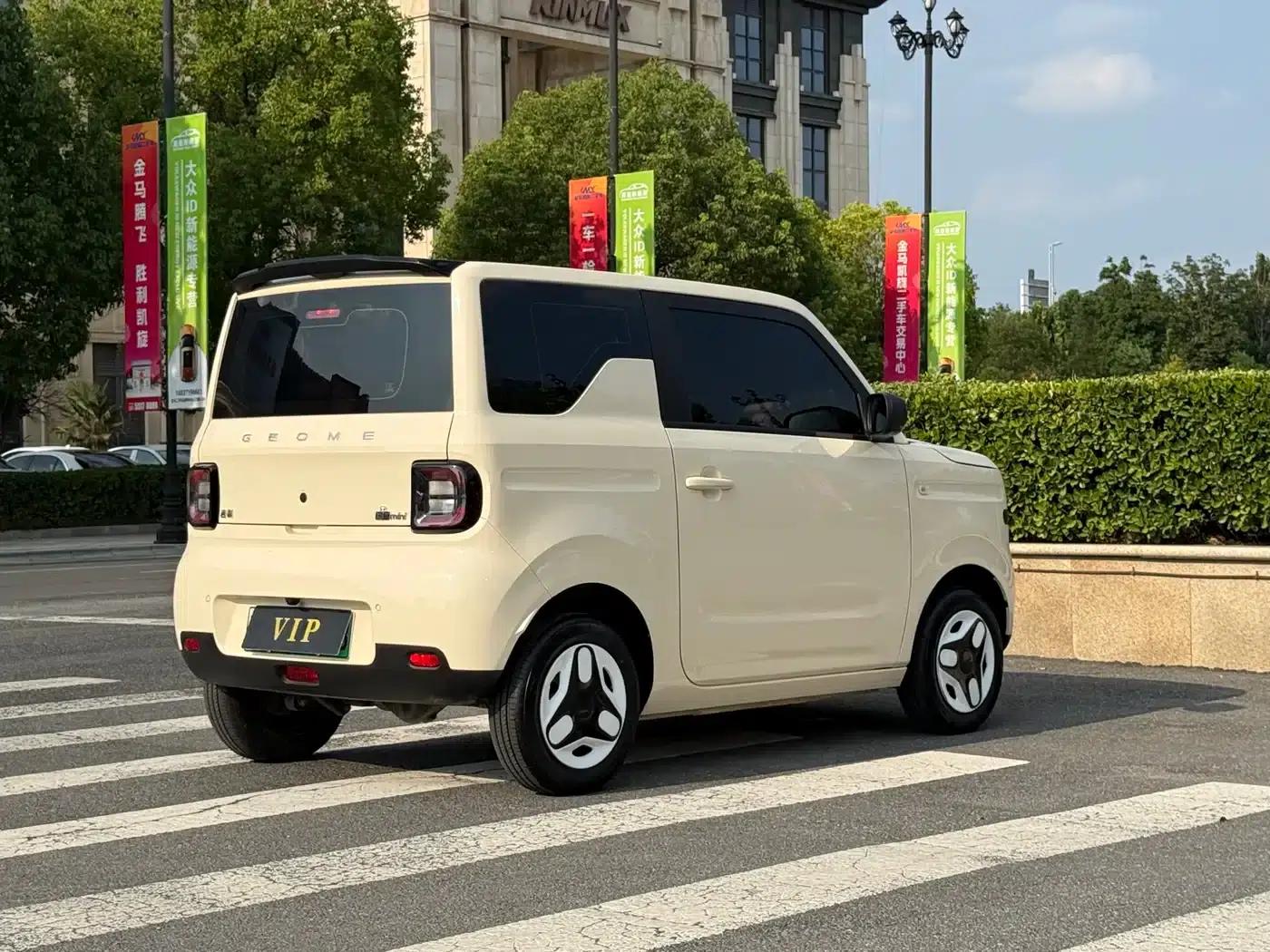 Panda 2025 Panda Mini 210km - Energetic Bear — миниатюра 7