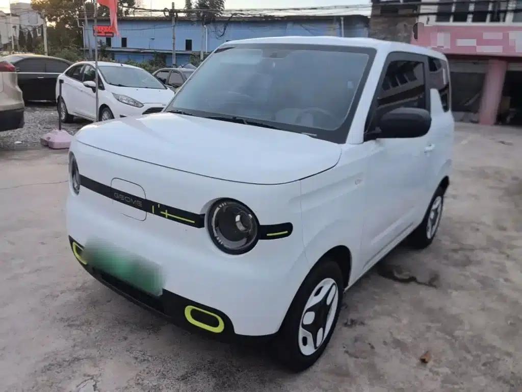 Panda 2025 Panda Mini 210km - Energetic Bear — миниатюра 2