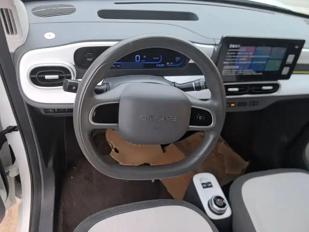 Panda 2025 Panda Mini 210km - Energetic Bear — миниатюра 11