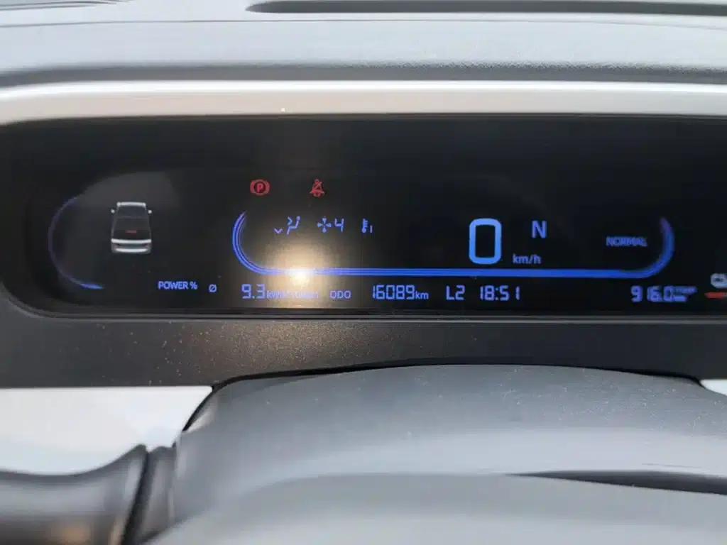 Panda 2025 Panda Mini 210km - Energetic Bear — миниатюра 12