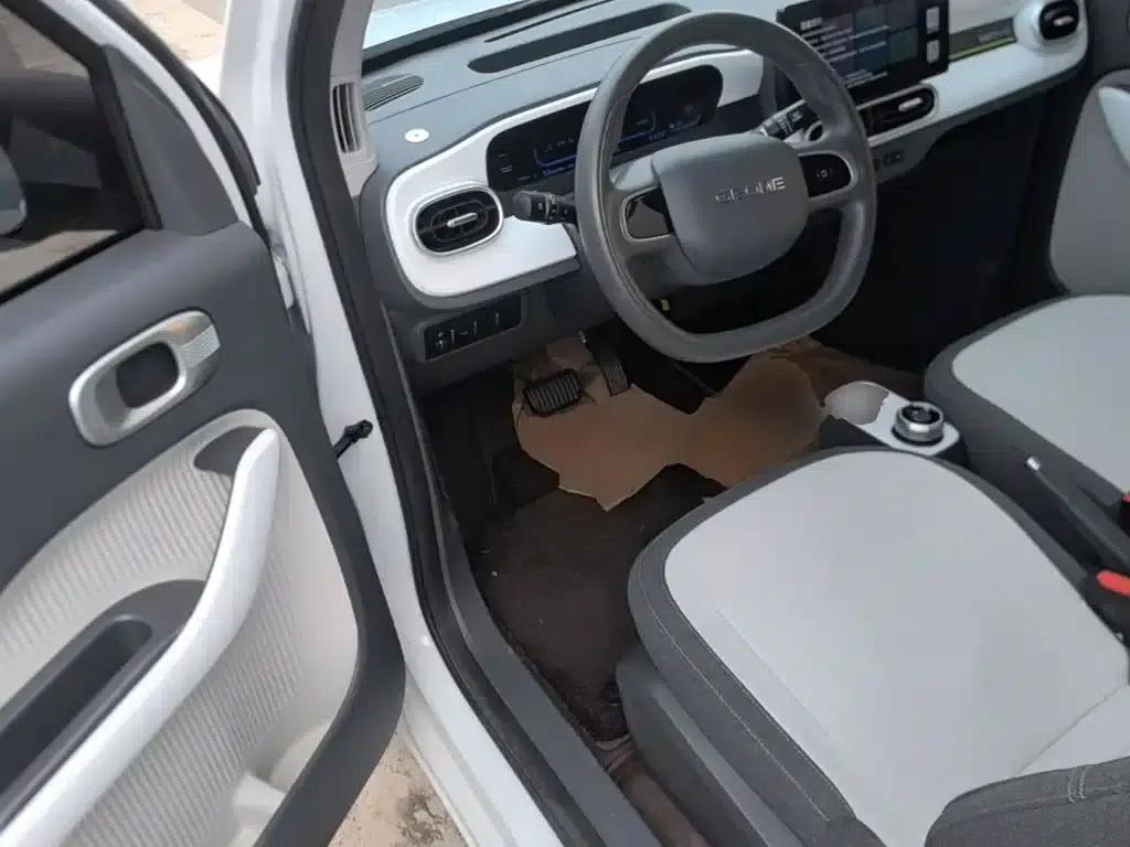 Panda 2025 Panda Mini 210km - Energetic Bear — миниатюра 16