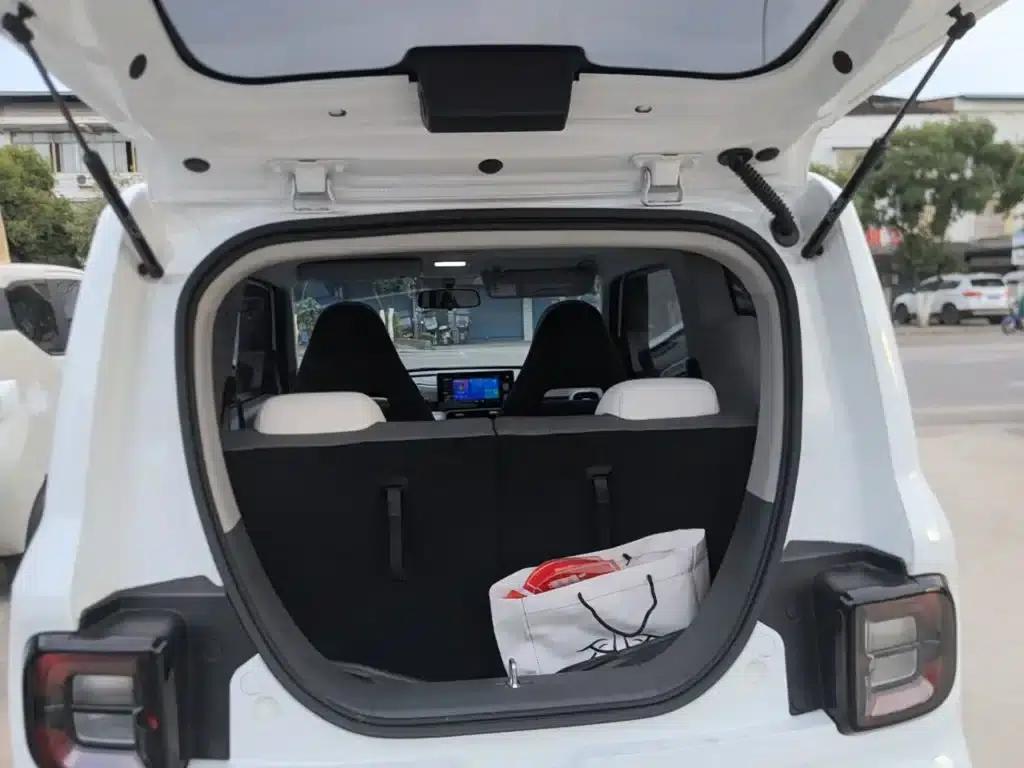 Panda 2025 Panda Mini 210km - Energetic Bear — миниатюра 19