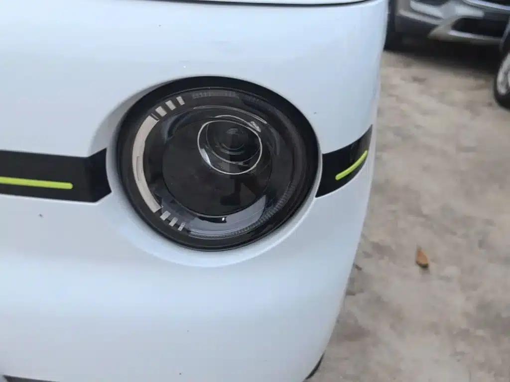 Panda 2025 Panda Mini 210km - Energetic Bear — миниатюра 24