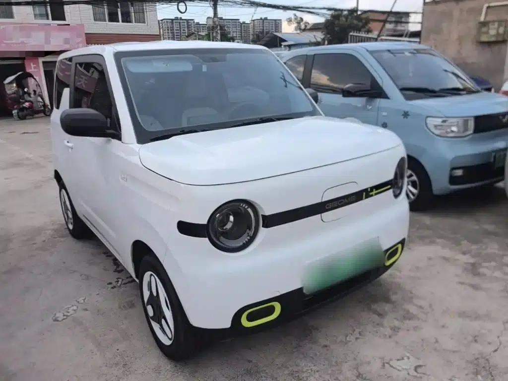 Panda 2025 Panda Mini 210km - Energetic Bear — миниатюра 4