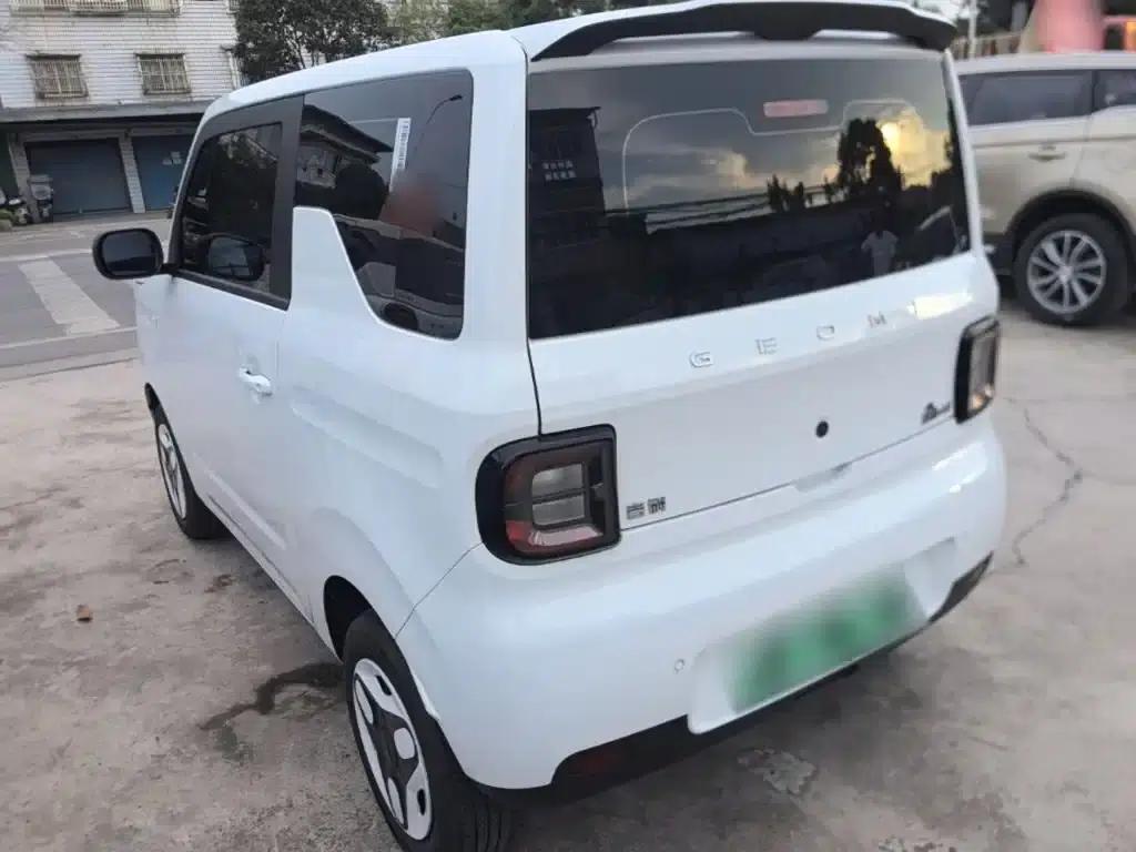 Panda 2025 Panda Mini 210km - Energetic Bear — миниатюра 5