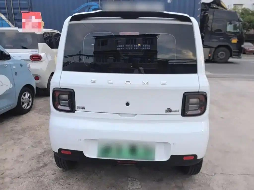Panda 2025 Panda Mini 210km - Energetic Bear — миниатюра 6